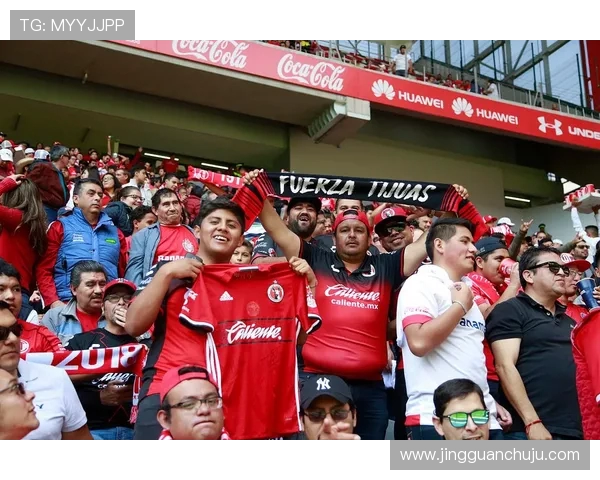 埃弗顿与曼联的精彩对决最终比分揭晓，球迷们的热情不减